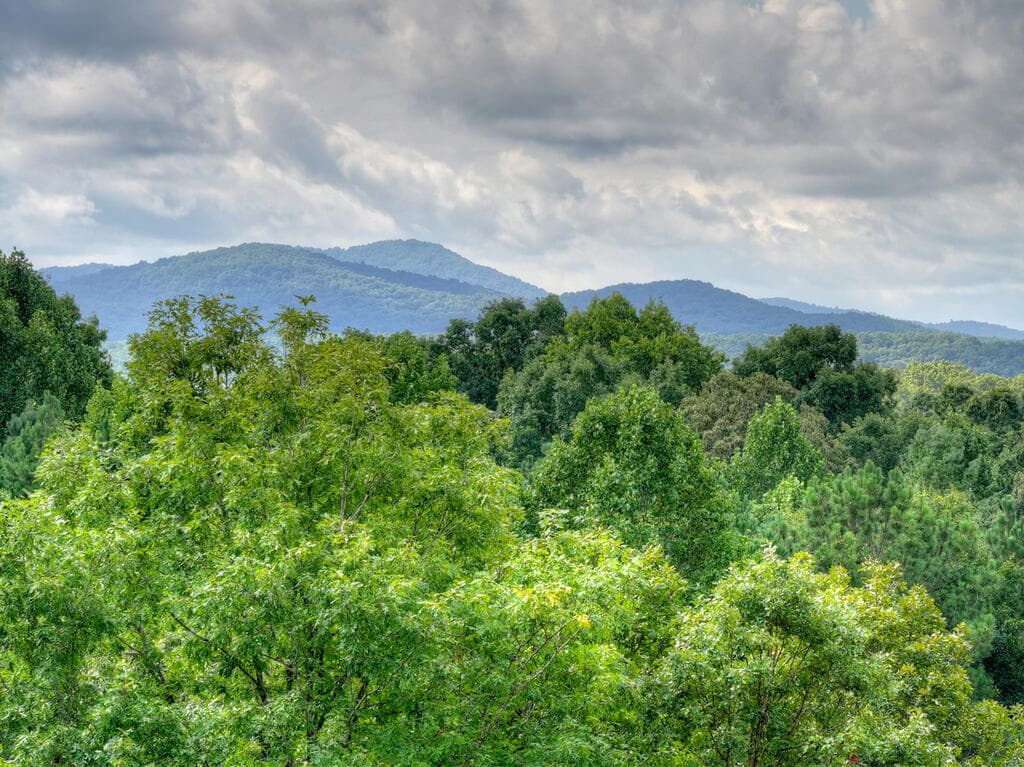 214 Ethan Wilson Way, Morganton GA 30560 - Photo
