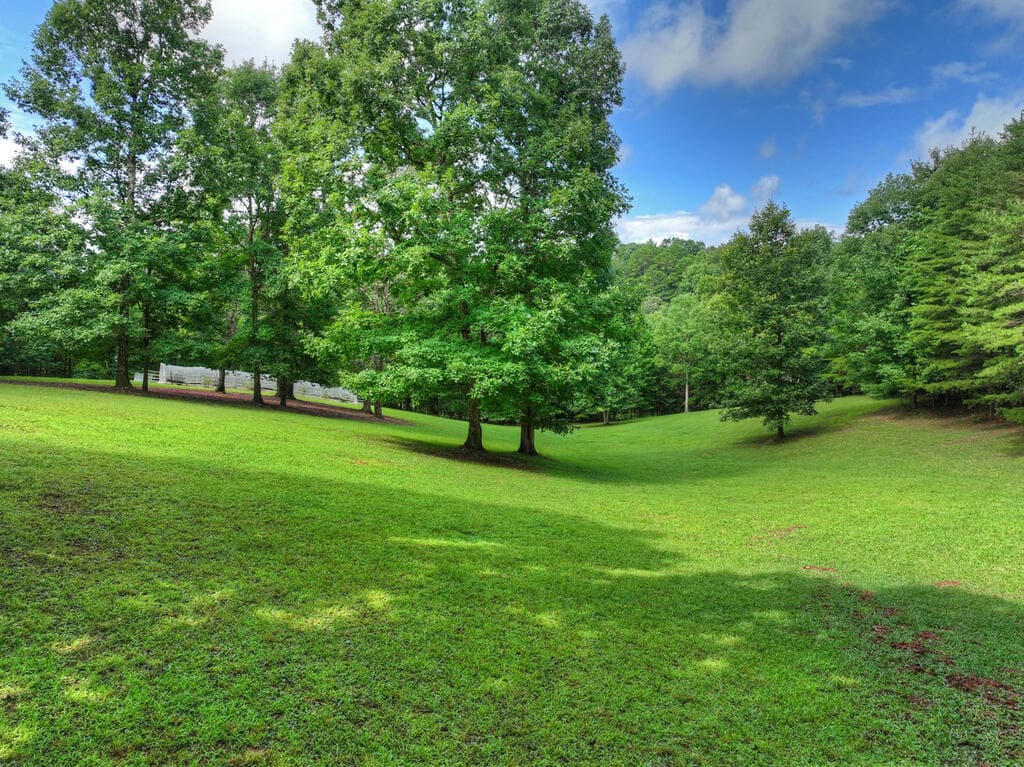 214 Ethan Wilson Way, Morganton GA 30560 - Photo