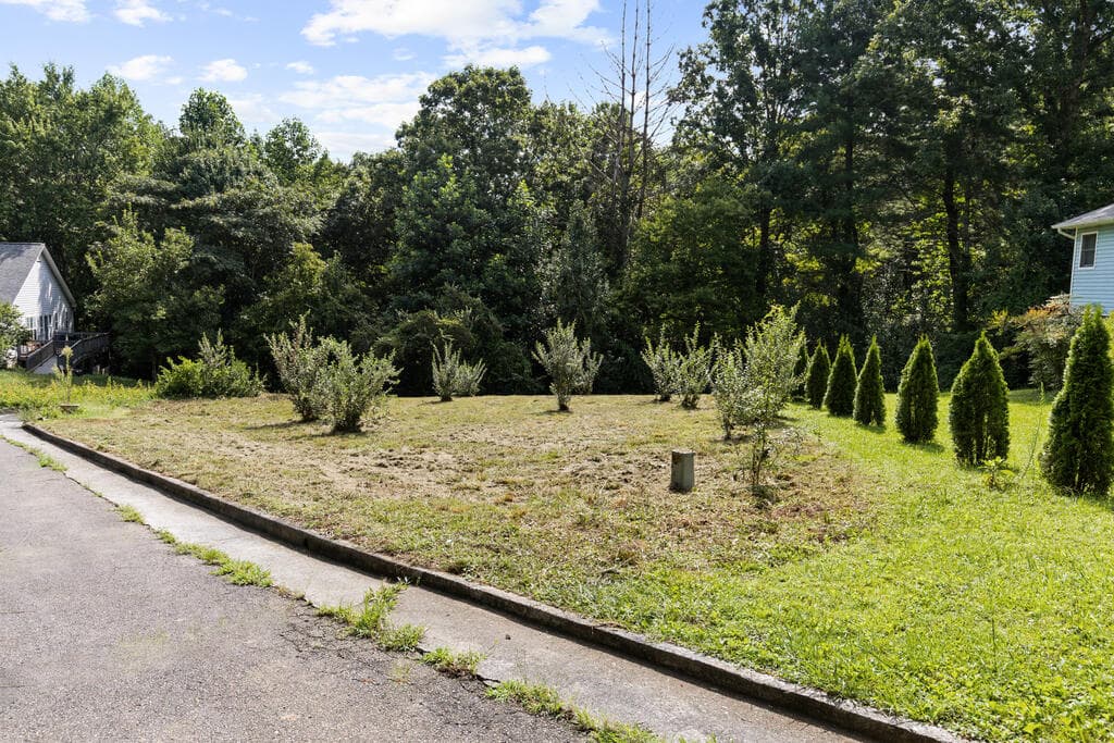 Lot 9 Oakwood Court, Fannin GA 30513 - Photo