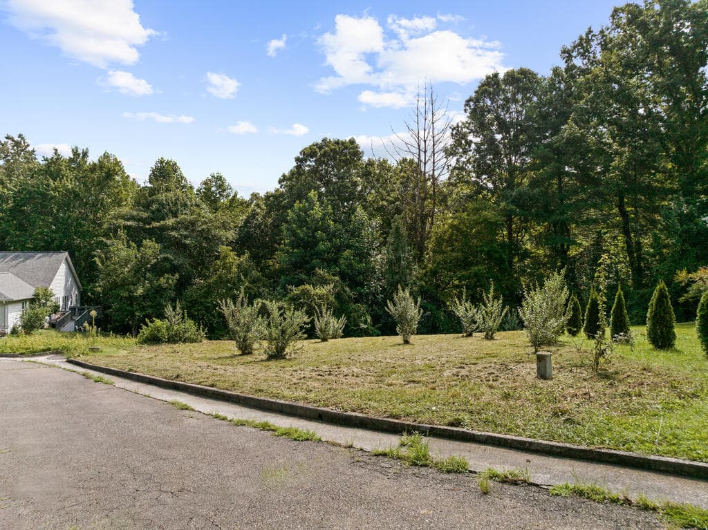 Lot 9 Oakwood Court, Fannin GA 30513 - Photo