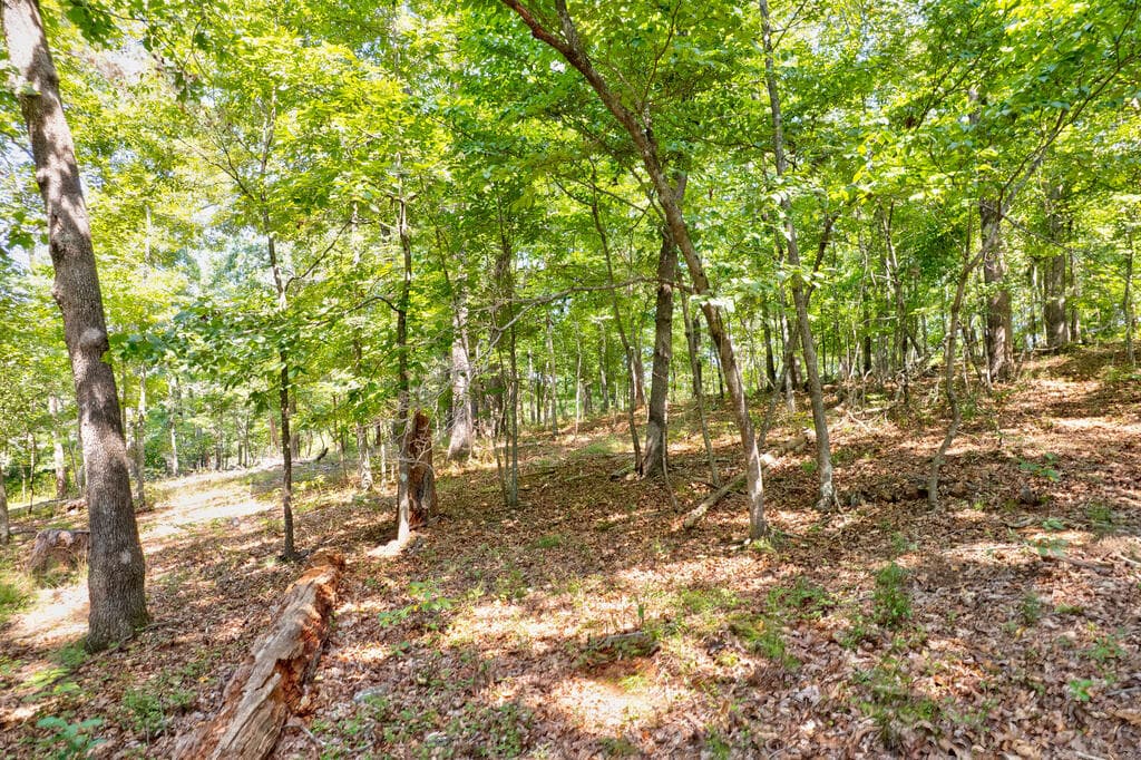 7.58 ac. James Ed Road, Gainesville GA 30506 - Photo