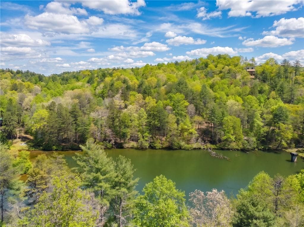 245 Bear Paw Trail, Blue Ridge GA 30513 - Photo