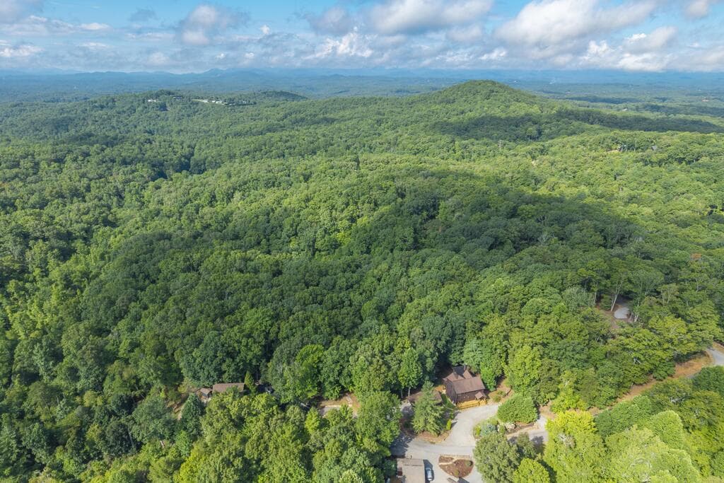 LOT 19 Gibbs Trail, Mineral Bluff GA 30559 - Photo