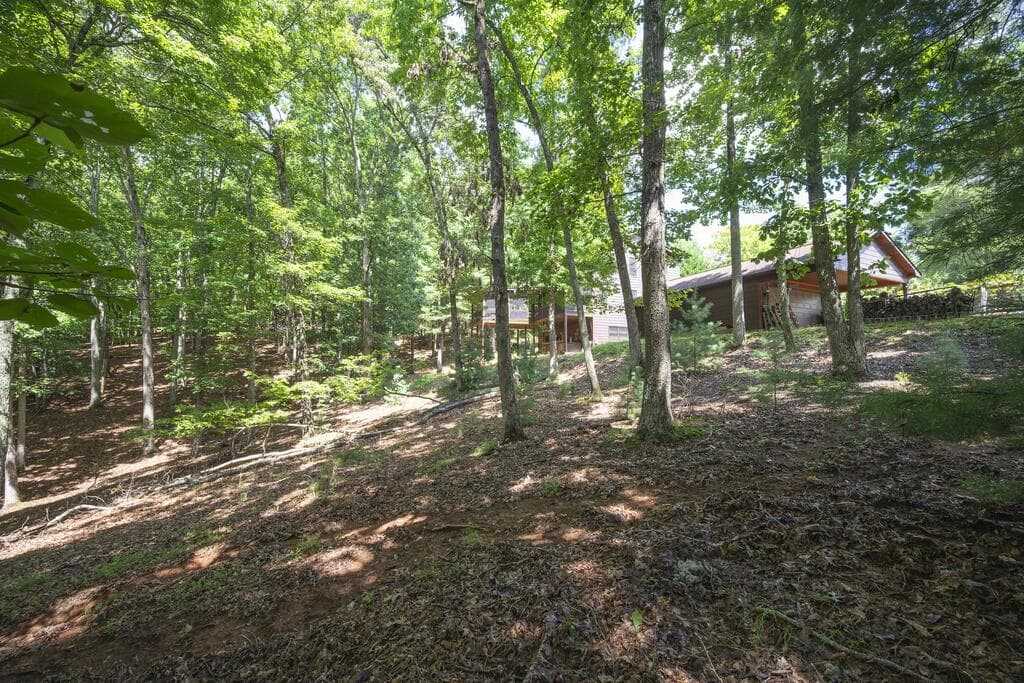 LOT 19 Gibbs Trail, Mineral Bluff GA 30559 - Photo