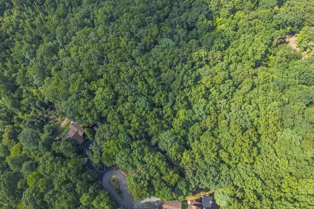 LOT 19 Gibbs Trail, Mineral Bluff GA 30559 - Photo
