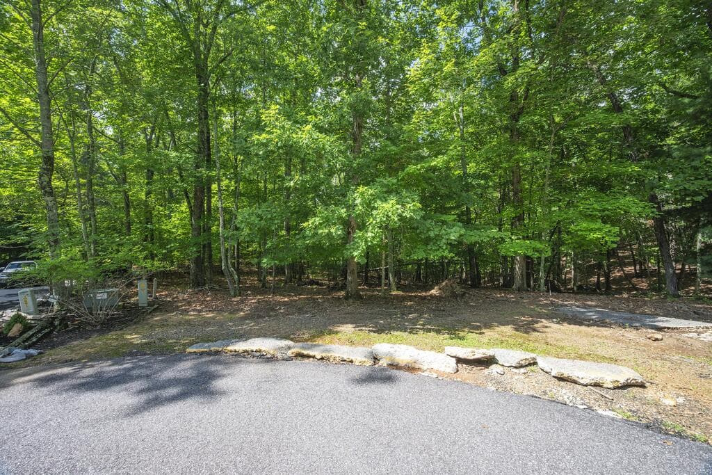 LOT 19 Gibbs Trail, Mineral Bluff GA 30559 - Primary photo