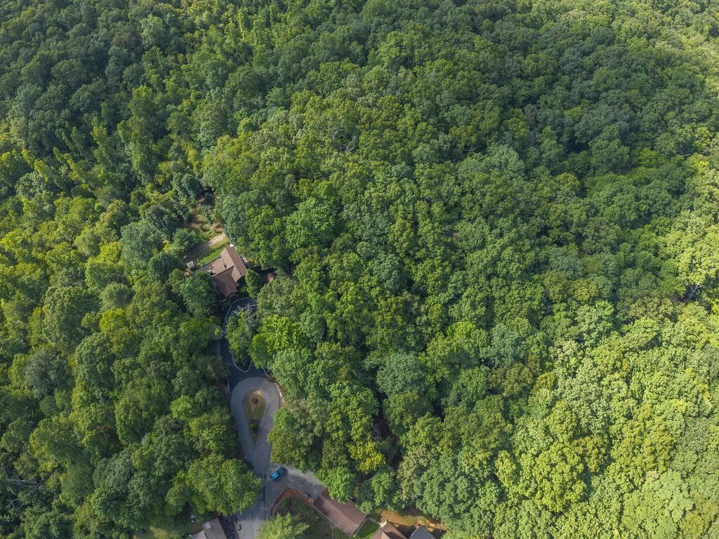 LOT 19 Gibbs Trail, Mineral Bluff GA 30559 - Photo