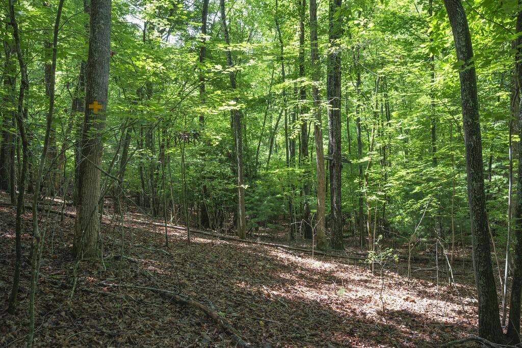 LOT 19 Gibbs Trail, Mineral Bluff GA 30559 - Photo