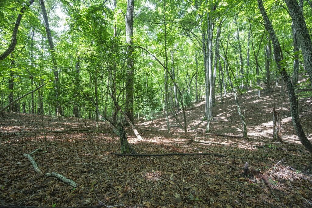 LOT 19 Gibbs Trail, Mineral Bluff GA 30559 - Photo