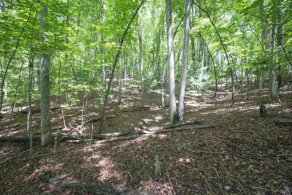 LOT 19 Gibbs Trail, Mineral Bluff GA 30559 - Photo