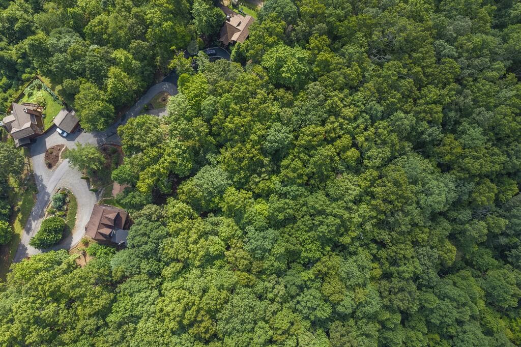LOT 19 Gibbs Trail, Mineral Bluff GA 30559 - Photo