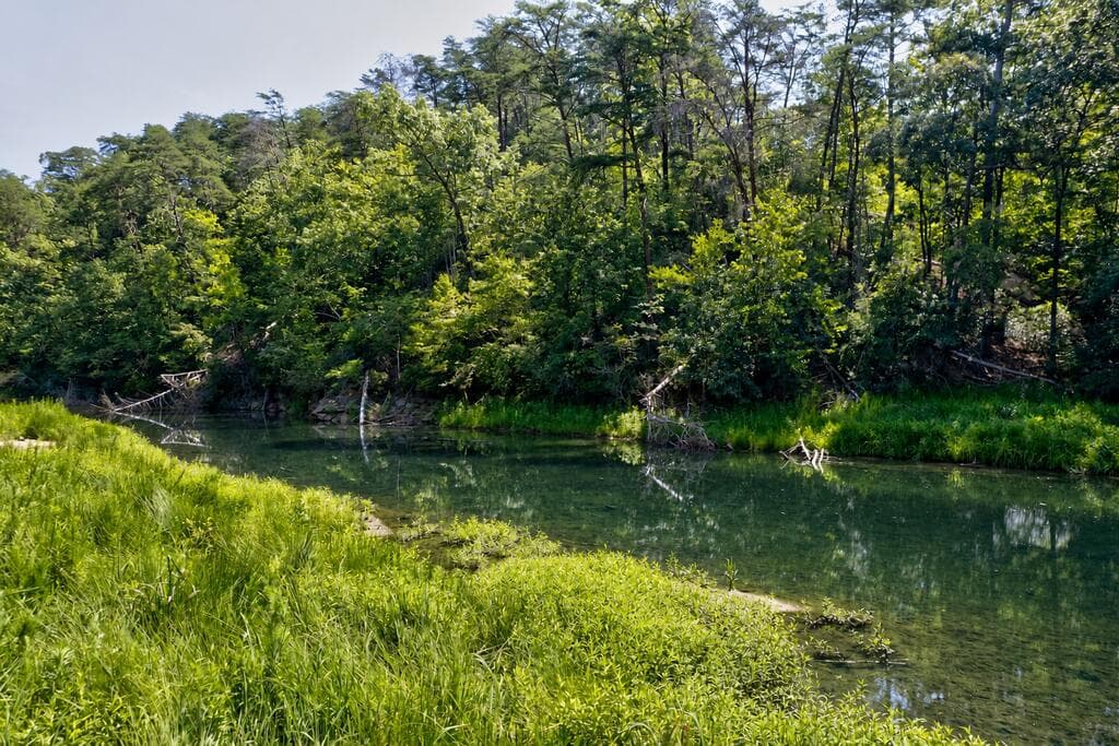 3828 James Ed Road, Gainesville GA 30506 - Photo