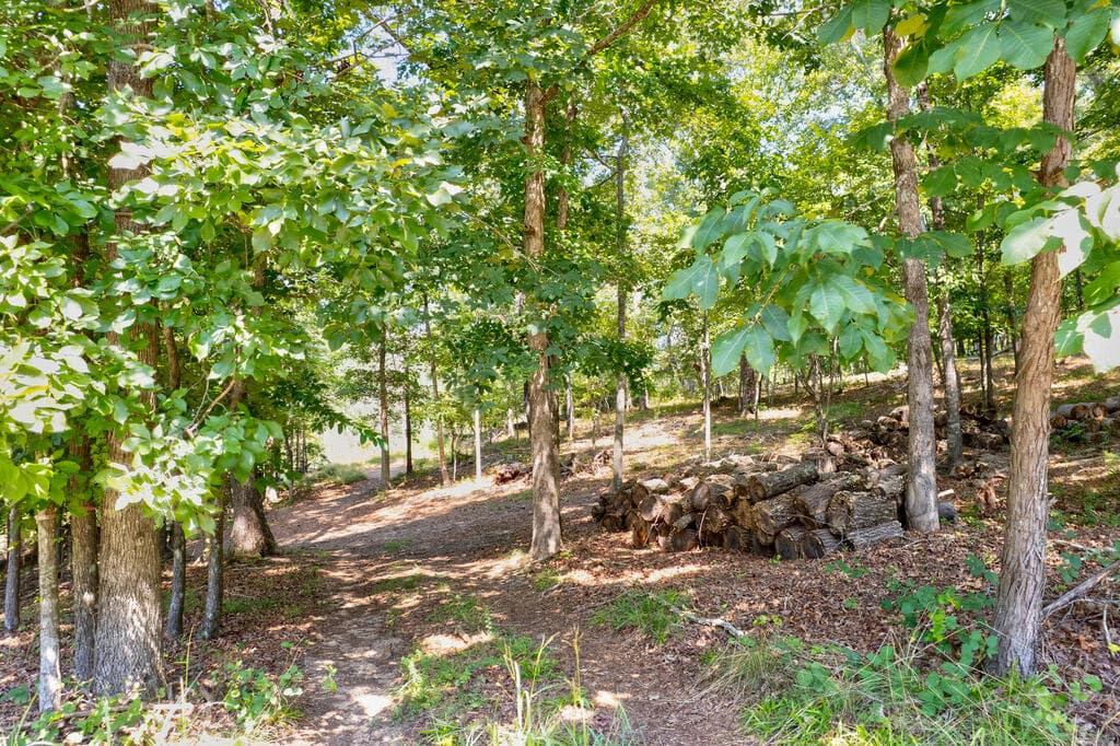 3828 James Ed Road, Gainesville GA 30506 - Photo
