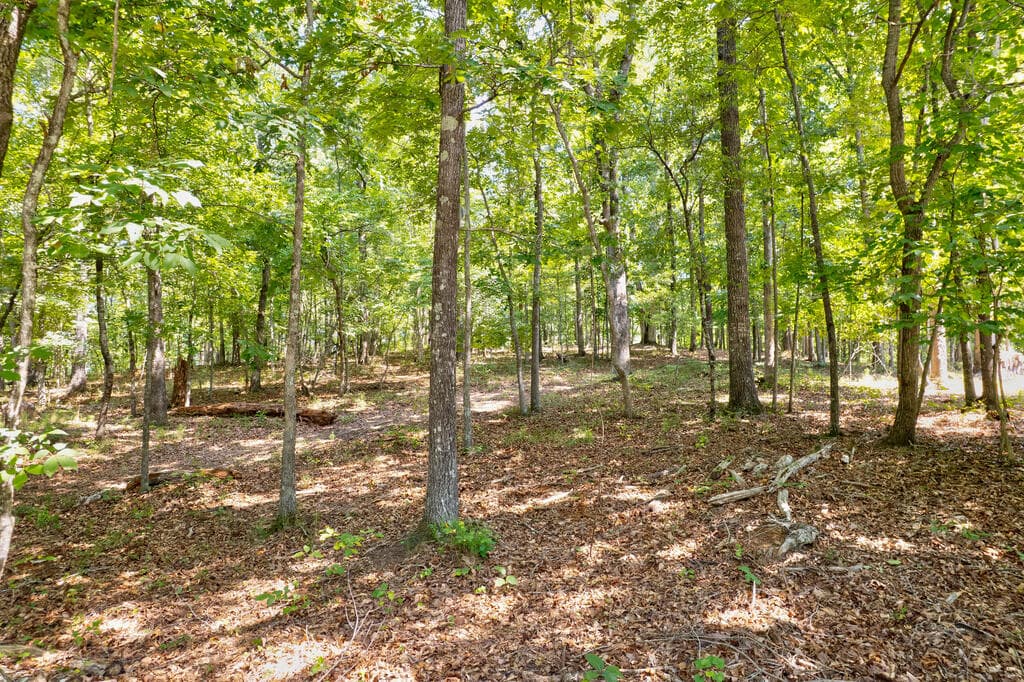 3828 James Ed Road, Gainesville GA 30506 - Photo