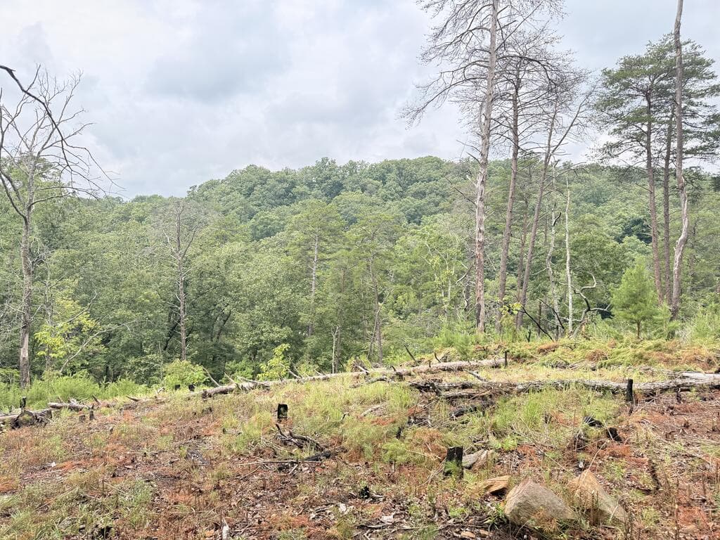 3828 James Ed Road, Gainesville GA 30506 - Photo