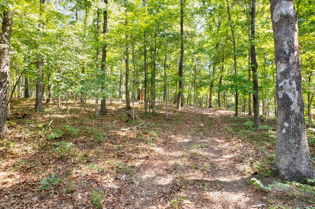 3828 James Ed Road, Gainesville GA 30506 - Photo