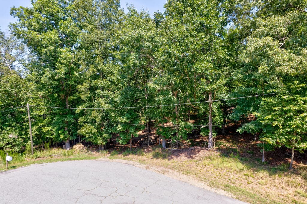 3828 James Ed Road, Gainesville GA 30506 - Photo