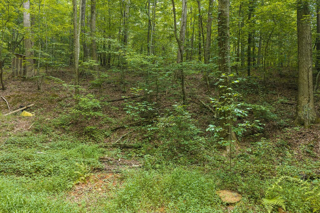 300 Sumac Lane, Ellijay GA 30540 - Photo