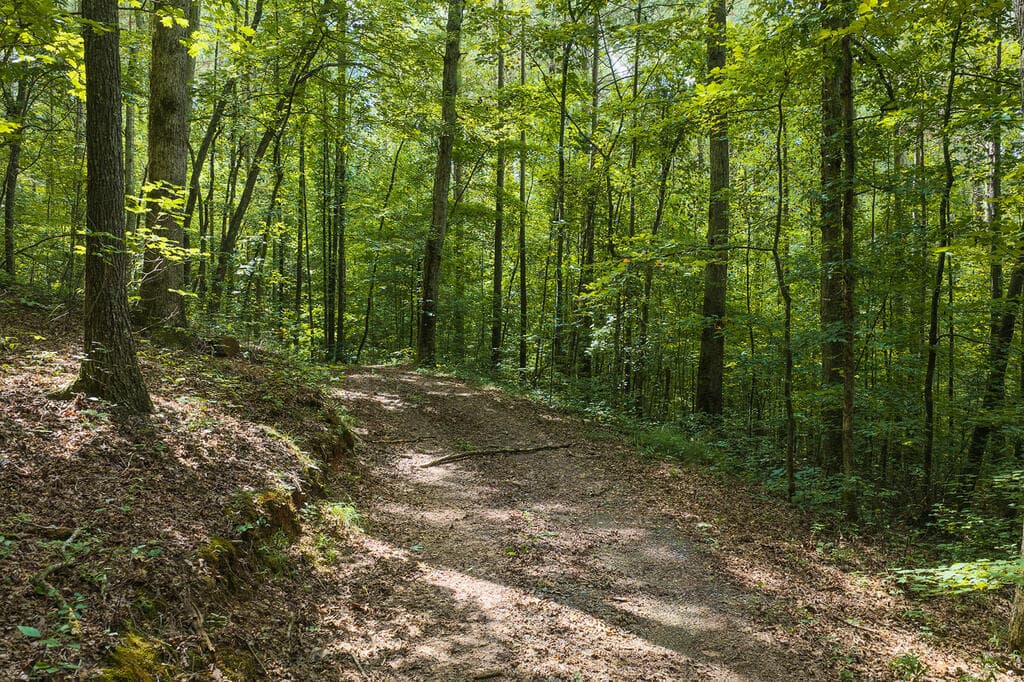 300 Sumac Lane, Ellijay GA 30540 - Photo