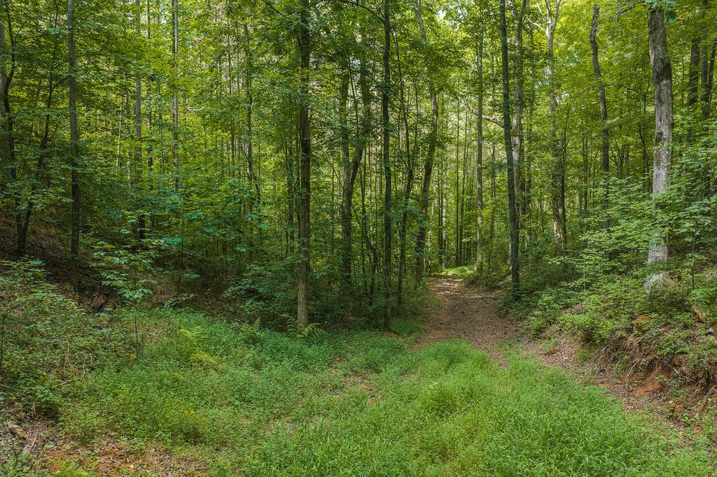 300 Sumac Lane, Ellijay GA 30540 - Photo
