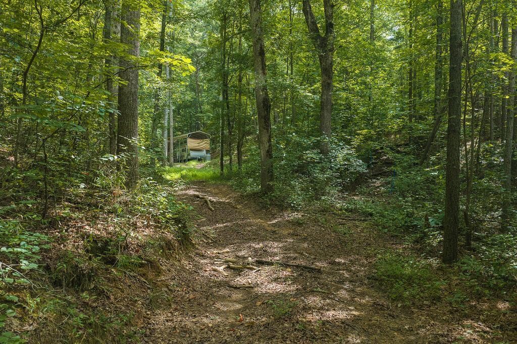 300 Sumac Lane, Ellijay GA 30540 - Photo