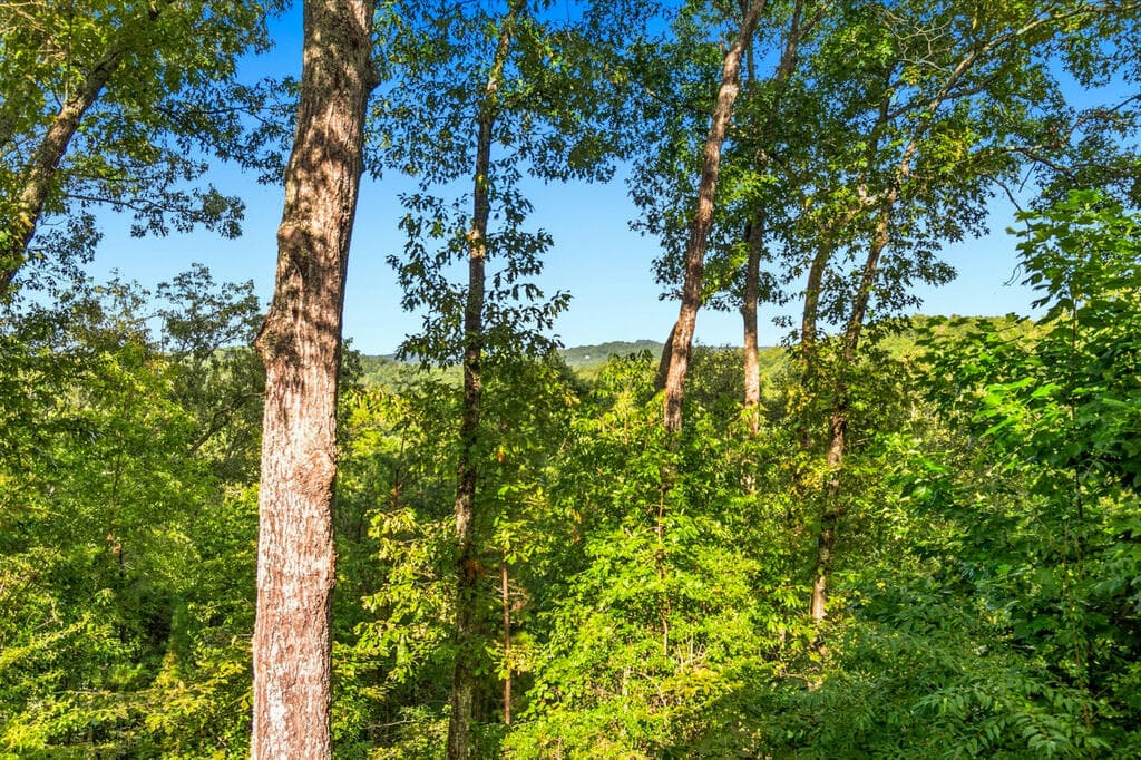 142 Oak Hill Drive, Mineral Bluff GA 30559 - Photo