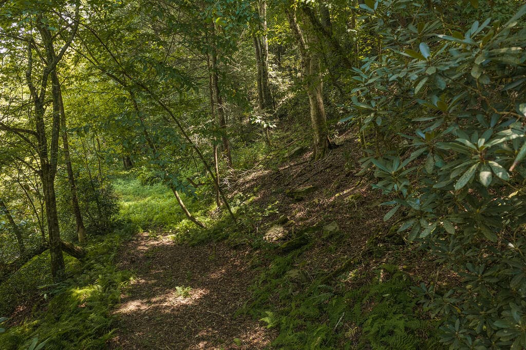 Tract C Hicks Ford Road, Ellijay GA 30540 - Photo