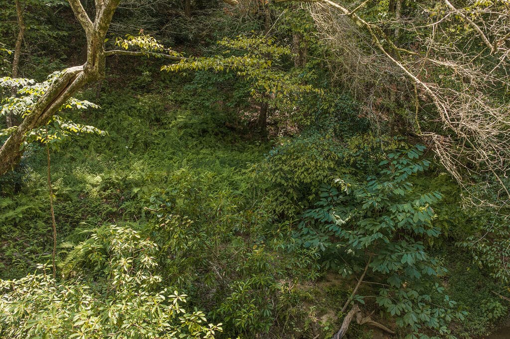 Tract C Hicks Ford Road, Ellijay GA 30540 - Photo
