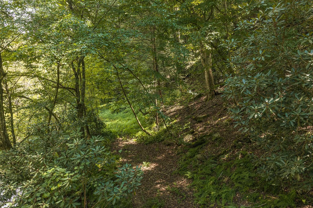 Tract C Hicks Ford Road, Ellijay GA 30540 - Photo