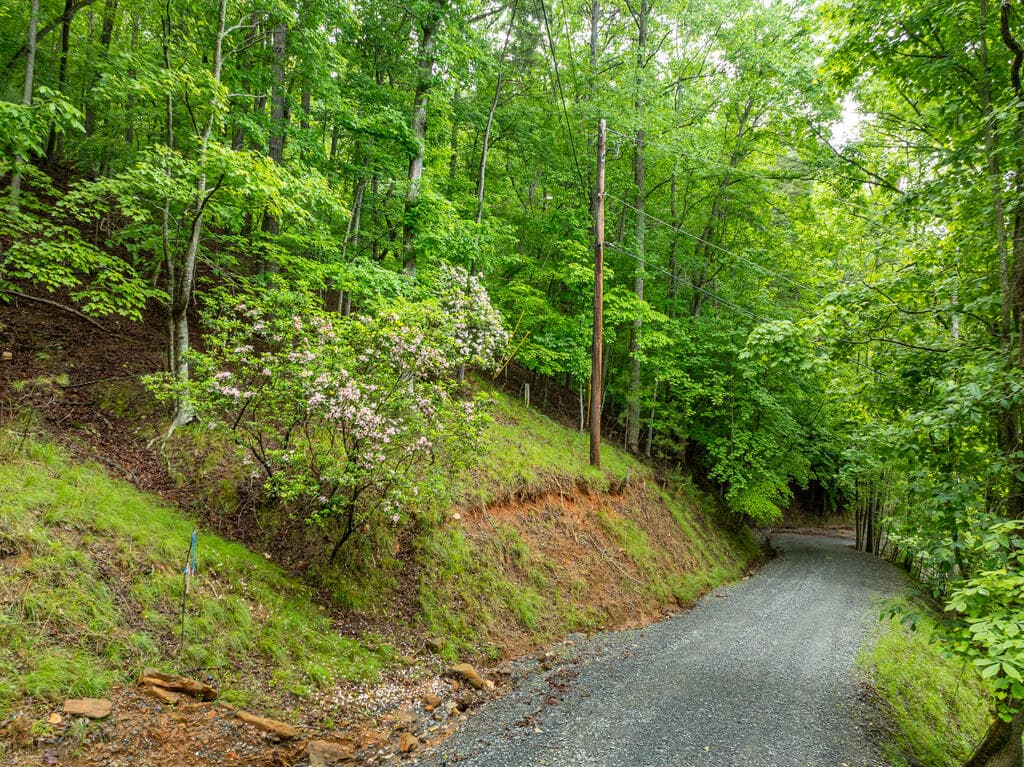 LT 2601 Parker Way, Ellijay GA 30540 - Photo
