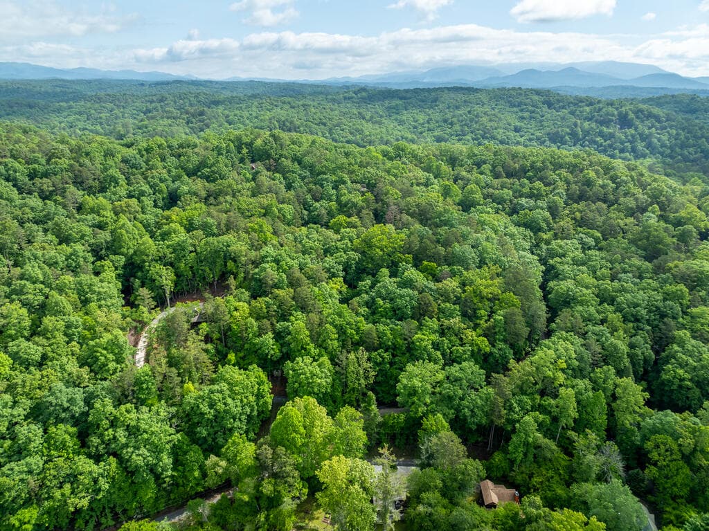 LT 2601 Parker Way, Ellijay GA 30540 - Photo