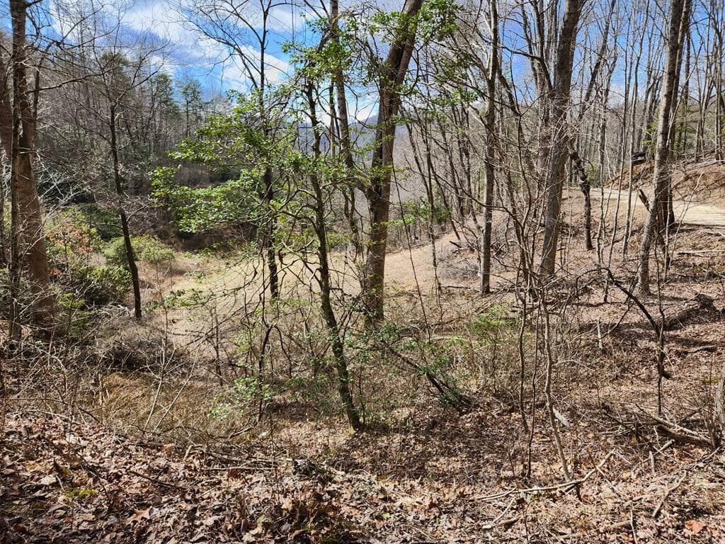 00 Camp Branch Road, Topton NC 28783 - Photo