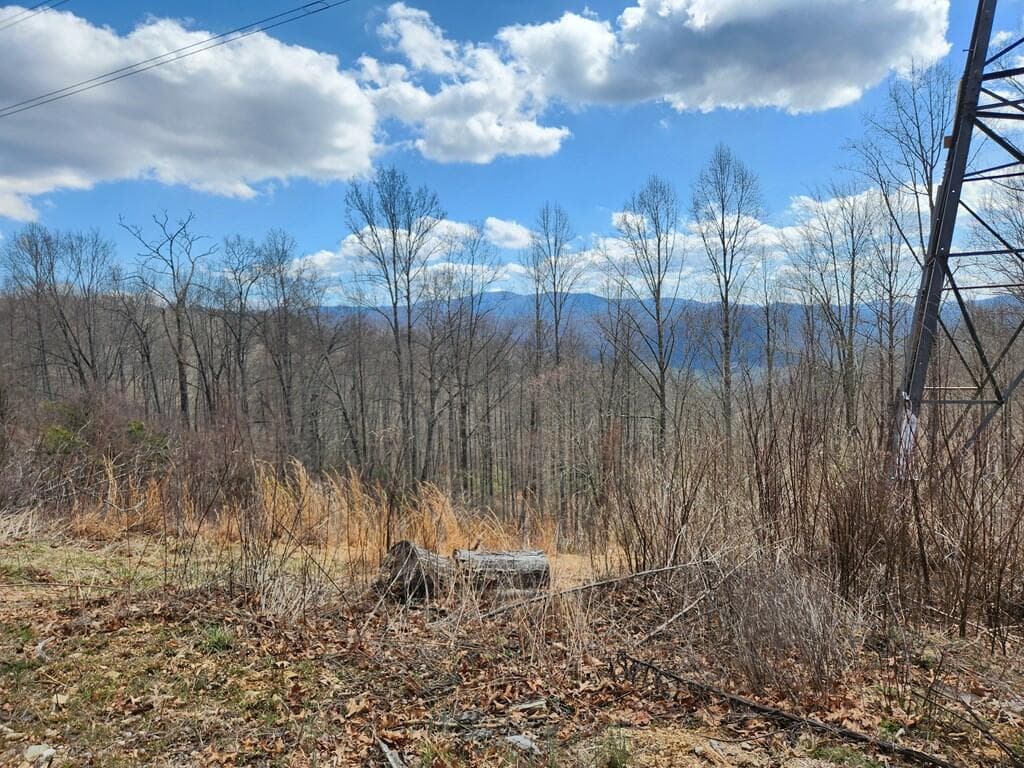00 Camp Branch Road, Topton NC 28783 - Photo