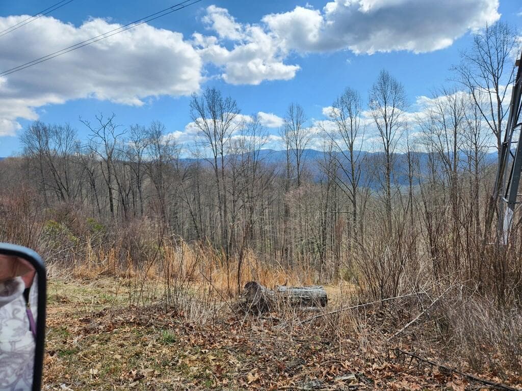 00 Camp Branch Road, Topton NC 28783 - Photo