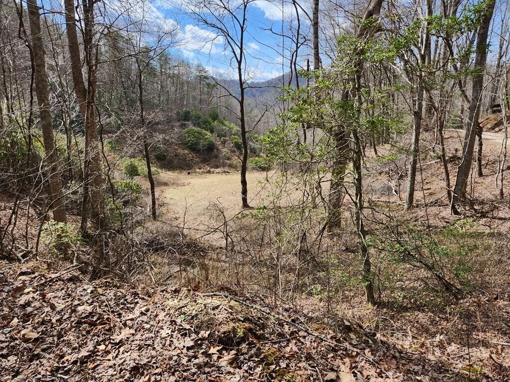 00 Camp Branch Road, Topton NC 28783 - Photo