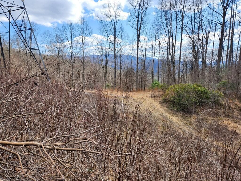 00 Camp Branch Road, Topton NC 28783 - Photo