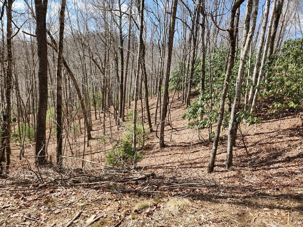 00 Camp Branch Road, Topton NC 28783 - Photo
