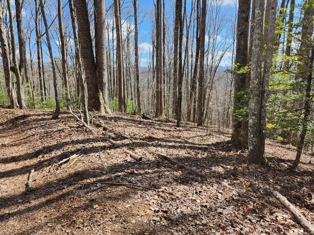 00 Camp Branch Road, Topton NC 28783 - Photo
