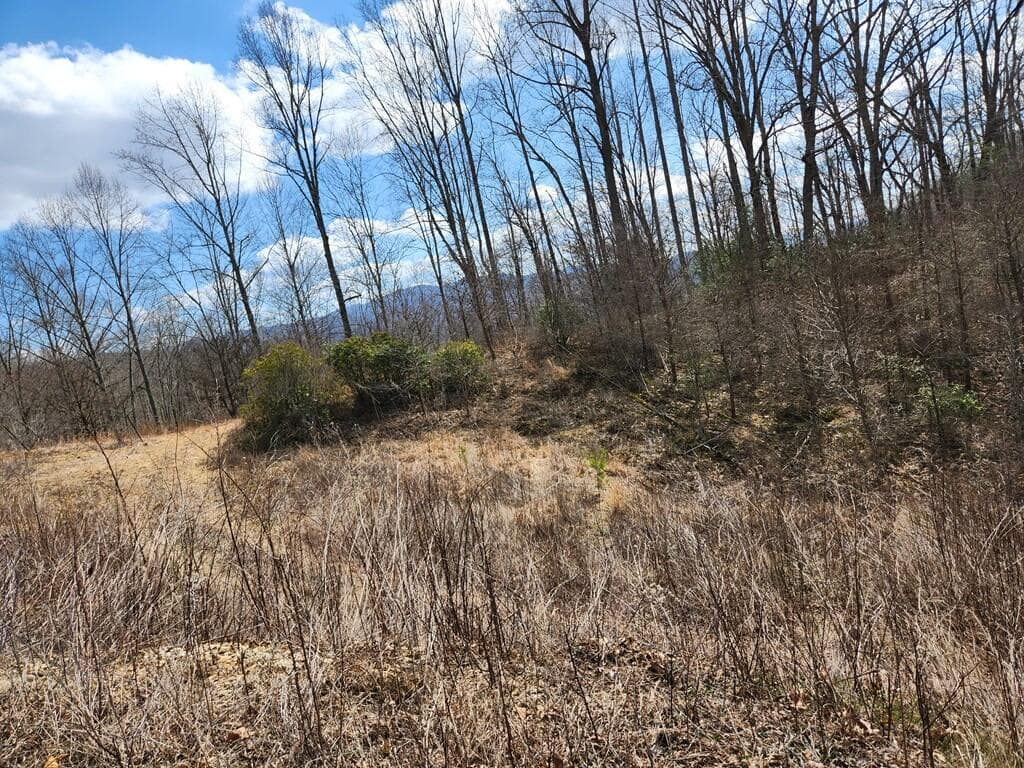 00 Camp Branch Road, Topton NC 28783 - Photo