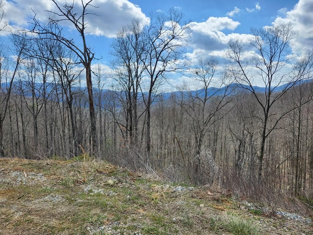 00 Camp Branch Road, Topton NC 28783 - Photo