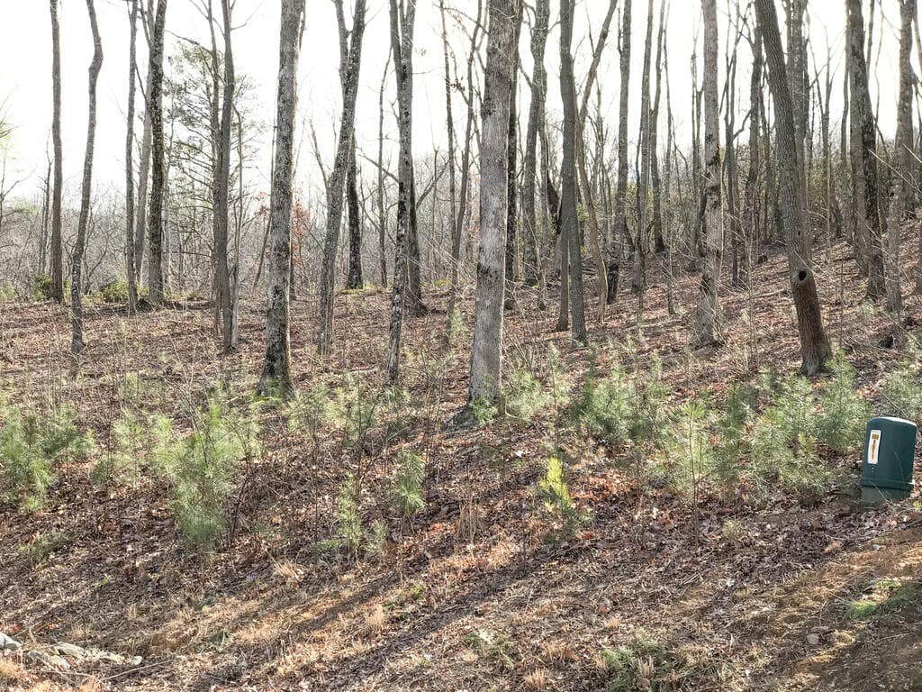 179 Trailwood Drive, Ellijay GA 30536 - Photo