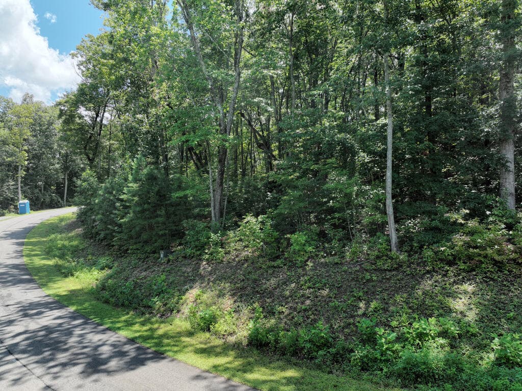 179 Trailwood Drive, Ellijay GA 30536 - Photo