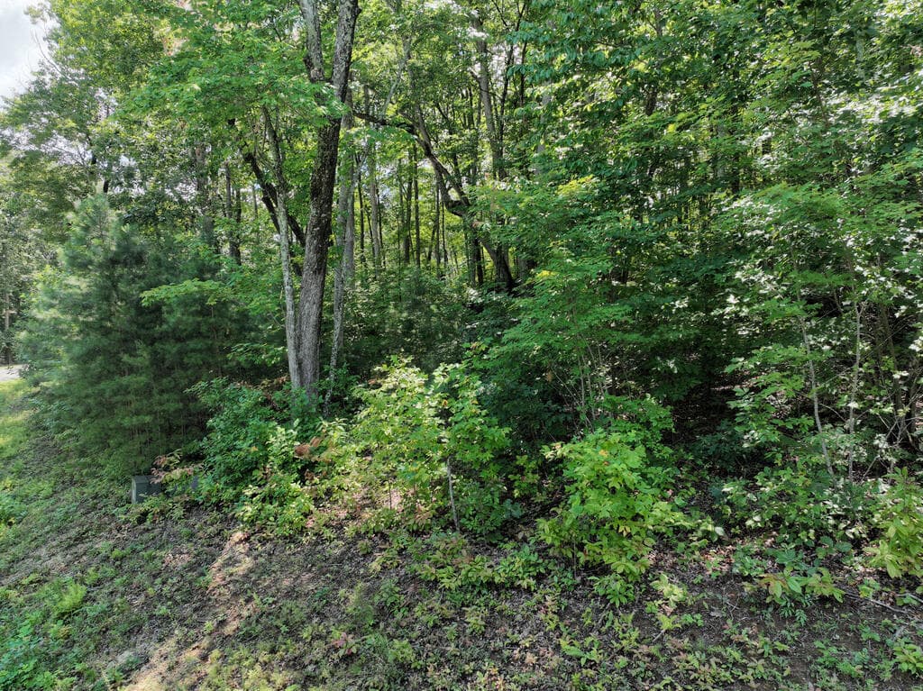 179 Trailwood Drive, Ellijay GA 30536 - Photo