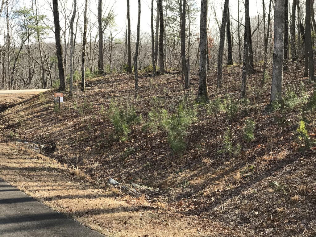 179 Trailwood Drive, Ellijay GA 30536 - Photo