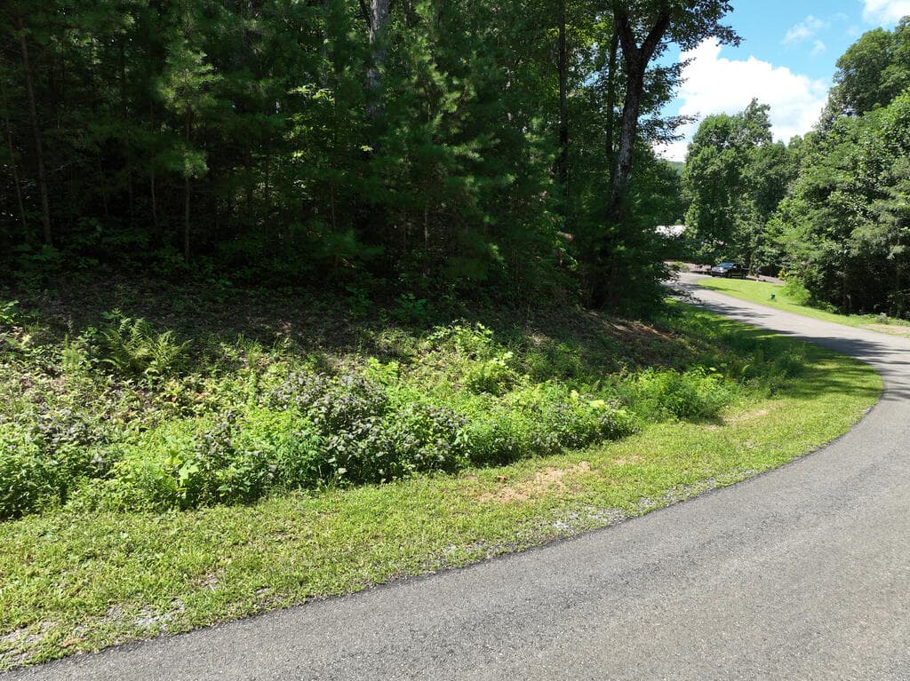 179 Trailwood Drive, Ellijay GA 30536 - Photo
