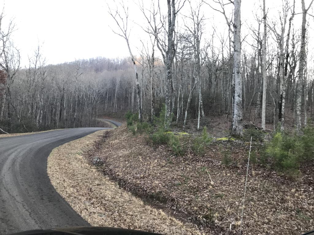 179 Trailwood Drive, Ellijay GA 30536 - Photo