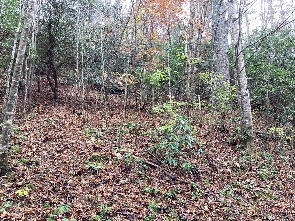 #109 Big Pine Drive, Hiawassee GA 30546 - Photo