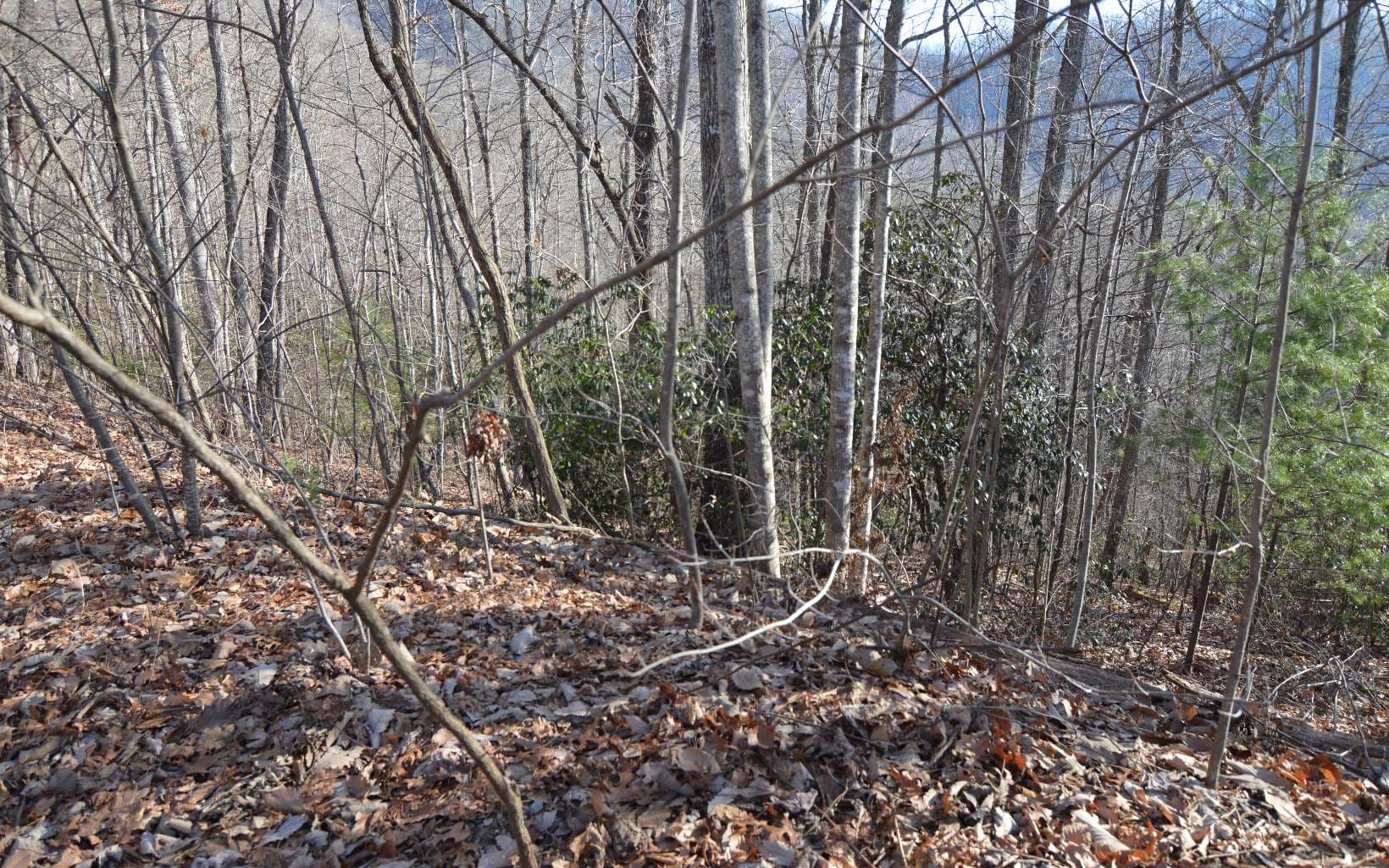 Lot 20 Enchanted Ridge, Hayesville NC 28904 - Photo