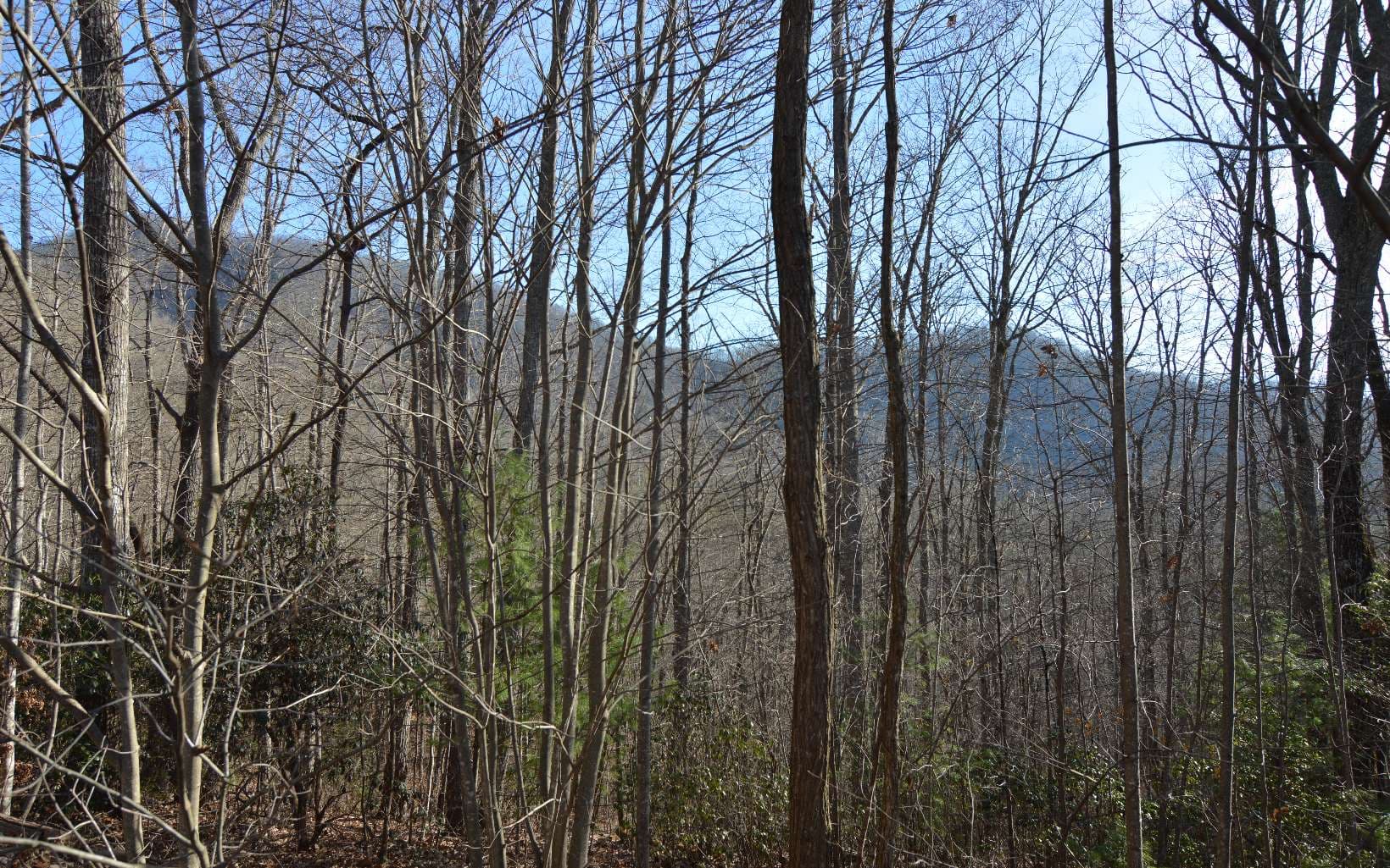 Lot 20 Enchanted Ridge, Hayesville NC 28904 - Photo