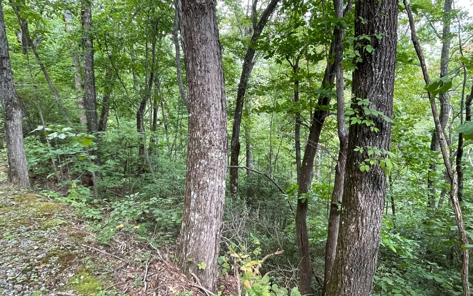 Lot 20 Enchanted Ridge, Hayesville NC 28904 - Photo